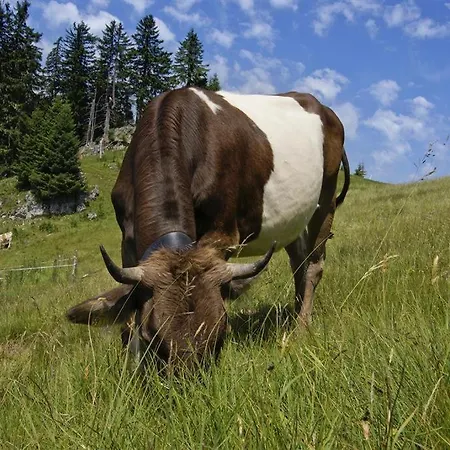 Barbara アパート