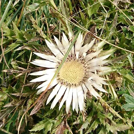 アパート Barbara *