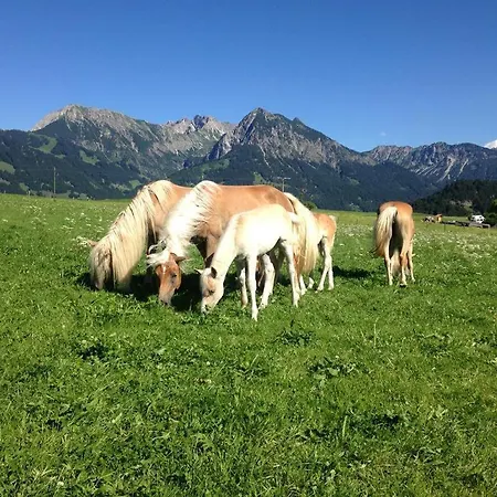 アパート Barbara